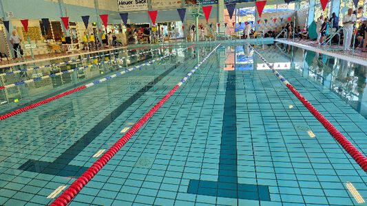 Bild zu Erster Flossenschwimmwettkampf im Schuljahr 2024/2025